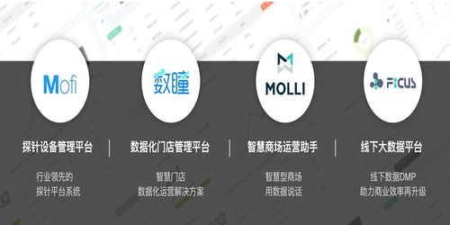 芝麻科技朱智 用線下大數(shù)據(jù)技術(shù)服務(wù)提升商家運(yùn)營效率