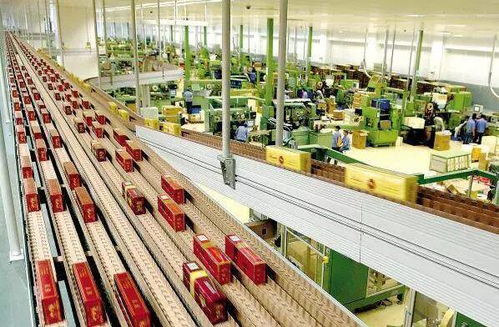 高考倒計(jì)時(shí)50天，揭秘那些冷門但潛力無(wú)限的“技術(shù)+服務(wù)”專業(yè)