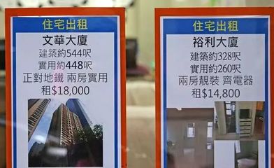 未曾見過香港人居，方知尋常生活貴
